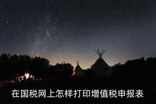 陜西國稅局網頁版如何查詢打印，在國稅網上怎樣打印增值稅申報表