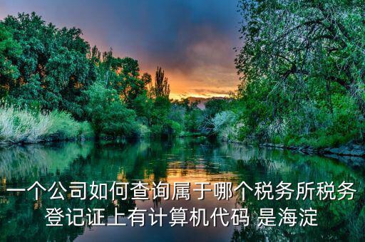 一個公司如何查詢屬于哪個稅務(wù)所稅務(wù)登記證上有計算機(jī)代碼 是海淀