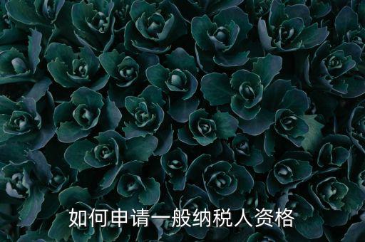 一般納稅人如何申請B級，一般納稅人B類企業(yè)如何申報(bào)企業(yè)所得稅