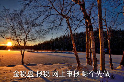 金稅盤如何網上申報，求金稅盤如何在電腦上報稅操作流程