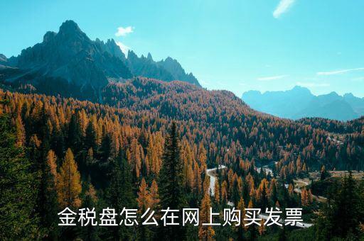 金稅盤如何網(wǎng)上購票，金稅盤領(lǐng)購發(fā)票的流程