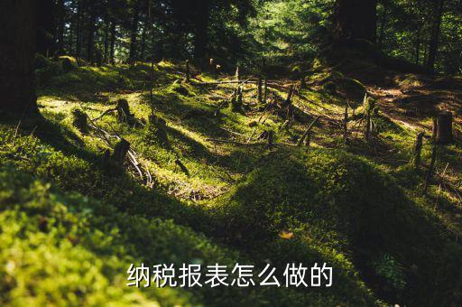 如何做數(shù)據(jù)報(bào)稅，在開普票里每月1號(hào)申報(bào)數(shù)據(jù)具體怎么弄的先點(diǎn)擊報(bào)稅再點(diǎn)