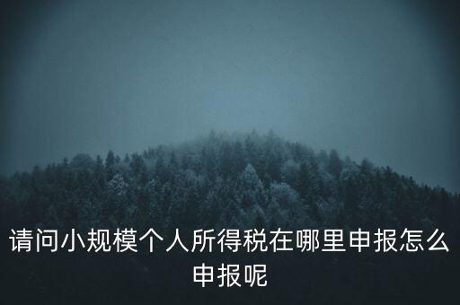 如何申報(bào)自然人兩處所得，請(qǐng)問小規(guī)模個(gè)人所得稅在哪里申報(bào)怎么申報(bào)呢