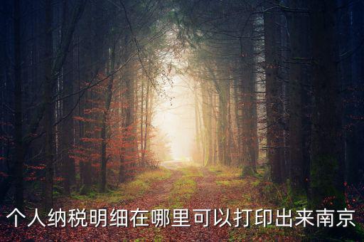 如何打印個(gè)稅明細(xì)，個(gè)人納稅明細(xì)在哪里可以打印出來(lái)南京
