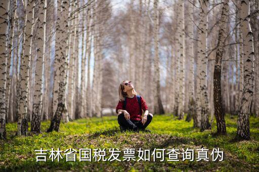 吉林省發(fā)票如何查真假，吉林省國稅發(fā)票如何查詢真?zhèn)?/></a></span><span id=