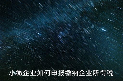 小企業(yè)如何繳納所得稅，小規(guī)模企業(yè)所得稅怎么交納