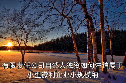 如何注銷(xiāo)小微企業(yè)所得稅，小微企業(yè)工商稅務(wù)注銷(xiāo)手續(xù)