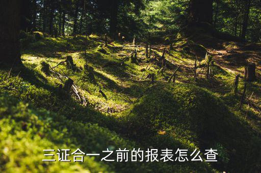 如何查三證合一之前的國稅數(shù)據(jù)，三證合一之前的報(bào)表怎么查