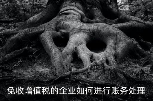 免收增值稅的企業(yè)如何進行賬務(wù)處理