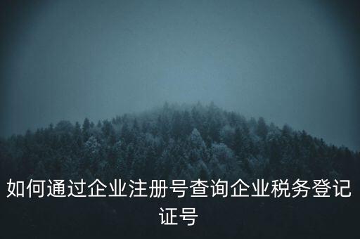 如何查詢公司稅務(wù)編號(hào)查詢系統(tǒng)，公司的稅務(wù)登記證號(hào)怎么查詢
