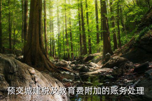 預(yù)繳城建稅如何處理，預(yù)交城建稅及教育費附加的賬務(wù)處理