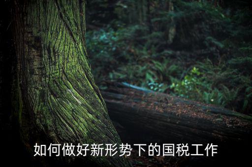 如何貫徹國稅工作會議上的講話，如何貫徹落實國稅系統(tǒng)化政府采購工作規(guī)范