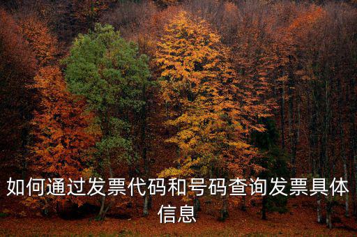 如何查詢發(fā)票詳細信息查詢，如何通過發(fā)票代碼和號碼查詢發(fā)票具體信息