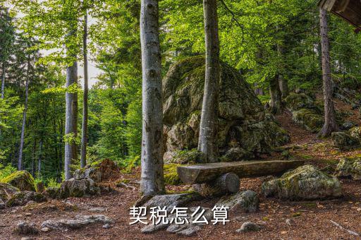 企業(yè)合并契稅如何計算，求高手解答如何計算企業(yè)應繳納契稅并進行契稅的會計處理
