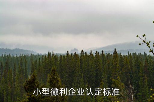 如何確定是小微企業(yè)，小型微利企業(yè)認定標準