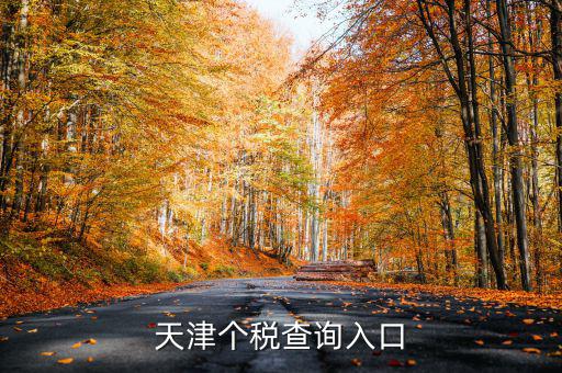 天津個稅如何查詢密碼，天津個稅查詢?nèi)肟?/></a></span><span id=