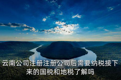 云南國稅如何申報(bào)，云南公司注冊注冊公司后需要納稅接下來的國稅和地稅了解嗎