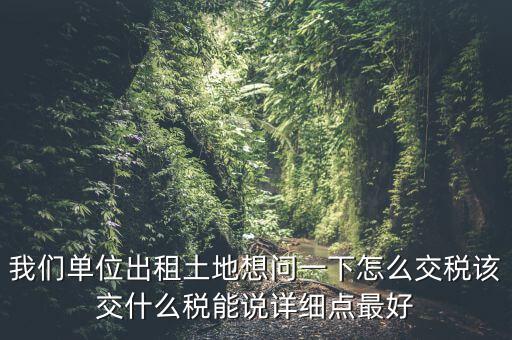 土地出租如何征稅，我們單位出租土地想問一下怎么交稅該交什么稅能說詳細(xì)點(diǎn)最好