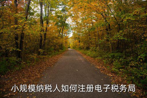 小規(guī)模納稅人如何注冊電子稅務局