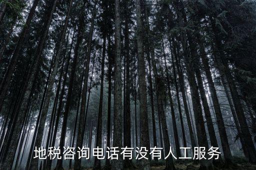 北京12366如何轉(zhuǎn)人工，我有關(guān)于北京稅務(wù)的問(wèn)題因?yàn)楹軓?fù)雜你們有沒(méi)有電話可以直接溝通