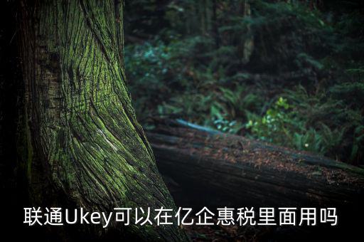 億企惠稅如何填報(bào)，聯(lián)通硬證書里面還贈(zèng)送的其他產(chǎn)品是什么怎么用