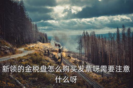 新公司如何購(gòu)買(mǎi)金稅盤(pán)，新領(lǐng)的金稅盤(pán)怎么購(gòu)買(mǎi)發(fā)票呀需要注意什么呀