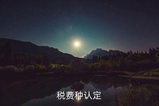 稅費種認(rèn)定
