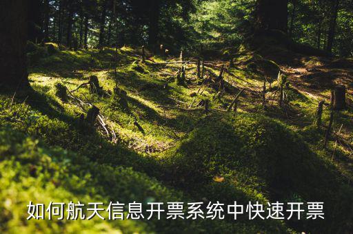 航天信息如何開(kāi)票，怎么在航天信息開(kāi)票軟件開(kāi)紅字發(fā)票