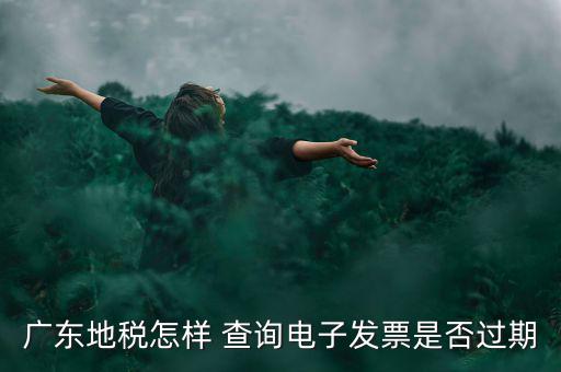 如何查詢電子發(fā)票是否有效，廣東地稅怎樣 查詢電子發(fā)票是否過期