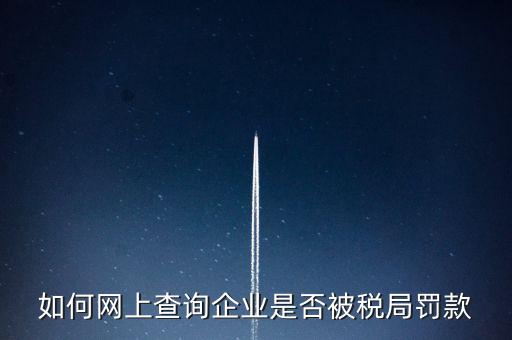 如何查稅務(wù)處罰，公司的稅務(wù)罰款去哪里查詢急