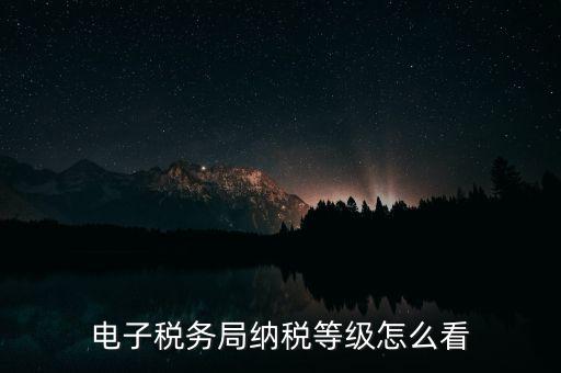 a級納稅人如何查詢，電子稅務(wù)局納稅等級怎么看