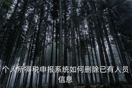 金三系統(tǒng)個(gè)稅申報(bào)人員如何刪除，如何刪掉個(gè)人所得稅人員信息