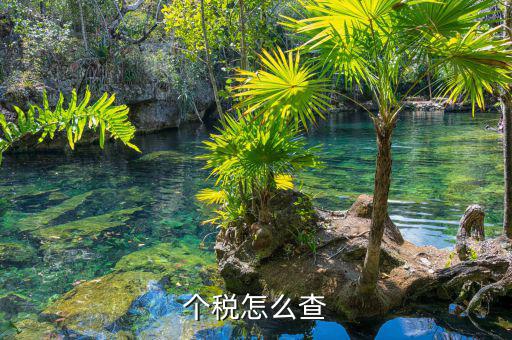 如何查詢個人稅，個稅怎么查