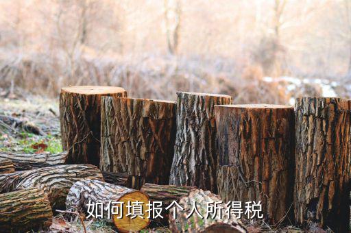 如何填寫自然人個(gè)人所得稅報(bào)表，如何填報(bào)個(gè)人所得稅