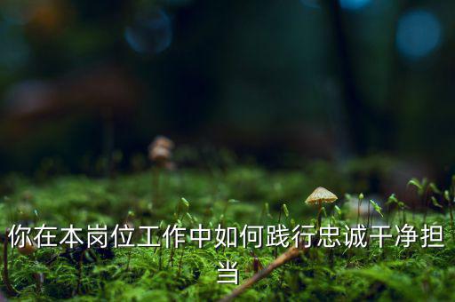 稅務(wù)干部如何講忠誠，如何做對黨忠誠個人干凈敢于的好干部