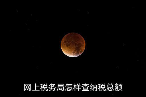 國稅局如何查稅，網(wǎng)上稅務(wù)局怎樣查納稅總額