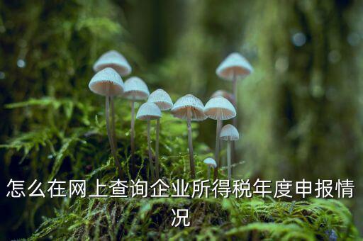 如何查詢企業(yè)個(gè)稅申報(bào)名單，怎樣查詢公司的所得稅已經(jīng)申報(bào)了