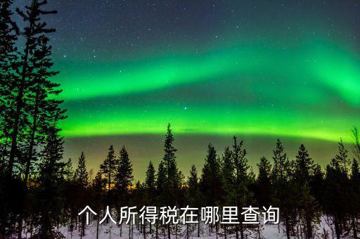 江蘇自然人如何查詢個(gè)稅繳納，個(gè)人稅怎么查