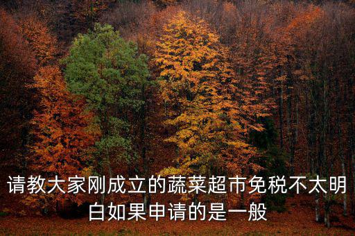 蔬菜免稅如何申請，如何申請蔬菜免稅發(fā)票