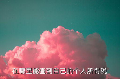 如何 查稅法，查看稅收法