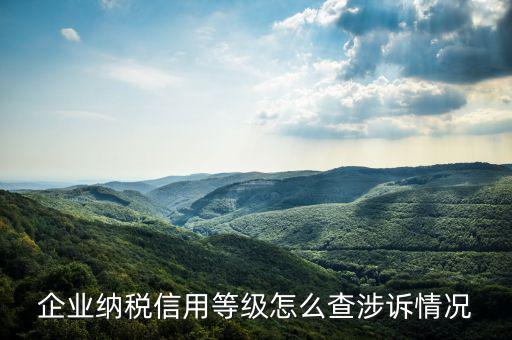 如何查詢企業(yè)納稅評(píng)級(jí)，如何查詢企業(yè)50萬(wàn) 還是80萬(wàn)升級(jí)一般納稅人