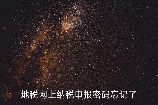 網(wǎng)報如何復(fù)制密碼，地稅網(wǎng)上納稅申報密碼忘記了