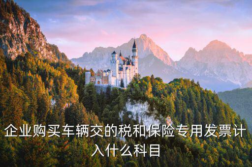 汽車保險(xiǎn)收到專票如何入賬，車輛保險(xiǎn)怎么入賬