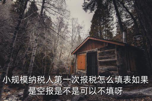 如何填寫首次辦稅補(bǔ)充信息表，稅務(wù)登記補(bǔ)充信息采集表怎么填 誰知道啊