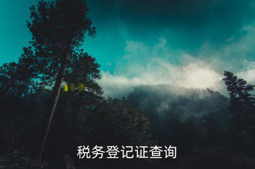 廣東非a級(jí)稅務(wù)登記如何查詢，稅務(wù)登記證查詢