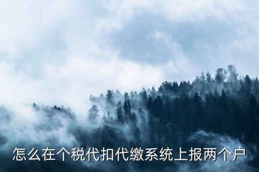 怎么在個(gè)稅代扣代繳系統(tǒng)上報(bào)兩個(gè)戶(hù)