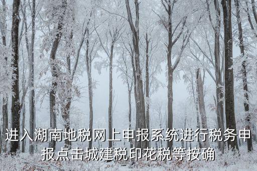 湖南省地稅局個(gè)人如何注冊(cè)，湖南地稅網(wǎng)上申報(bào)系統(tǒng)