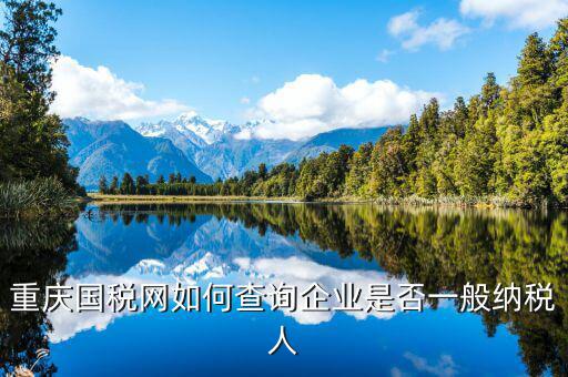 如何查詢(xún)?cè)鲋刀愐话慵{稅人資格，重慶國(guó)稅網(wǎng)如何查詢(xún)企業(yè)是否一般納稅人