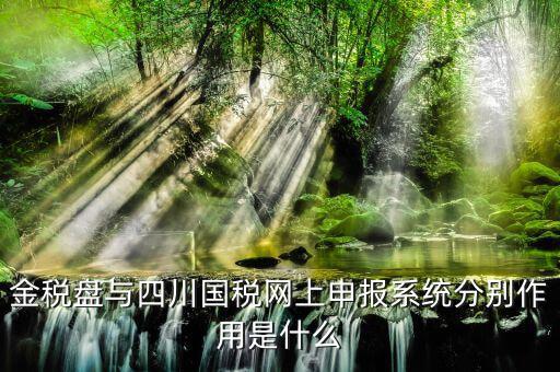 四川國稅如何網(wǎng)上申報，四川省地方稅務(wù)局網(wǎng)上怎么申報系統(tǒng)