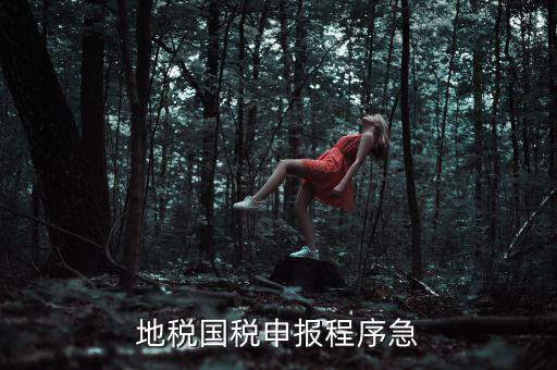 國(guó)稅地稅如何辦理流程，我想知道申報(bào)國(guó)稅地稅的流程包括前期需要什么資料期間如何